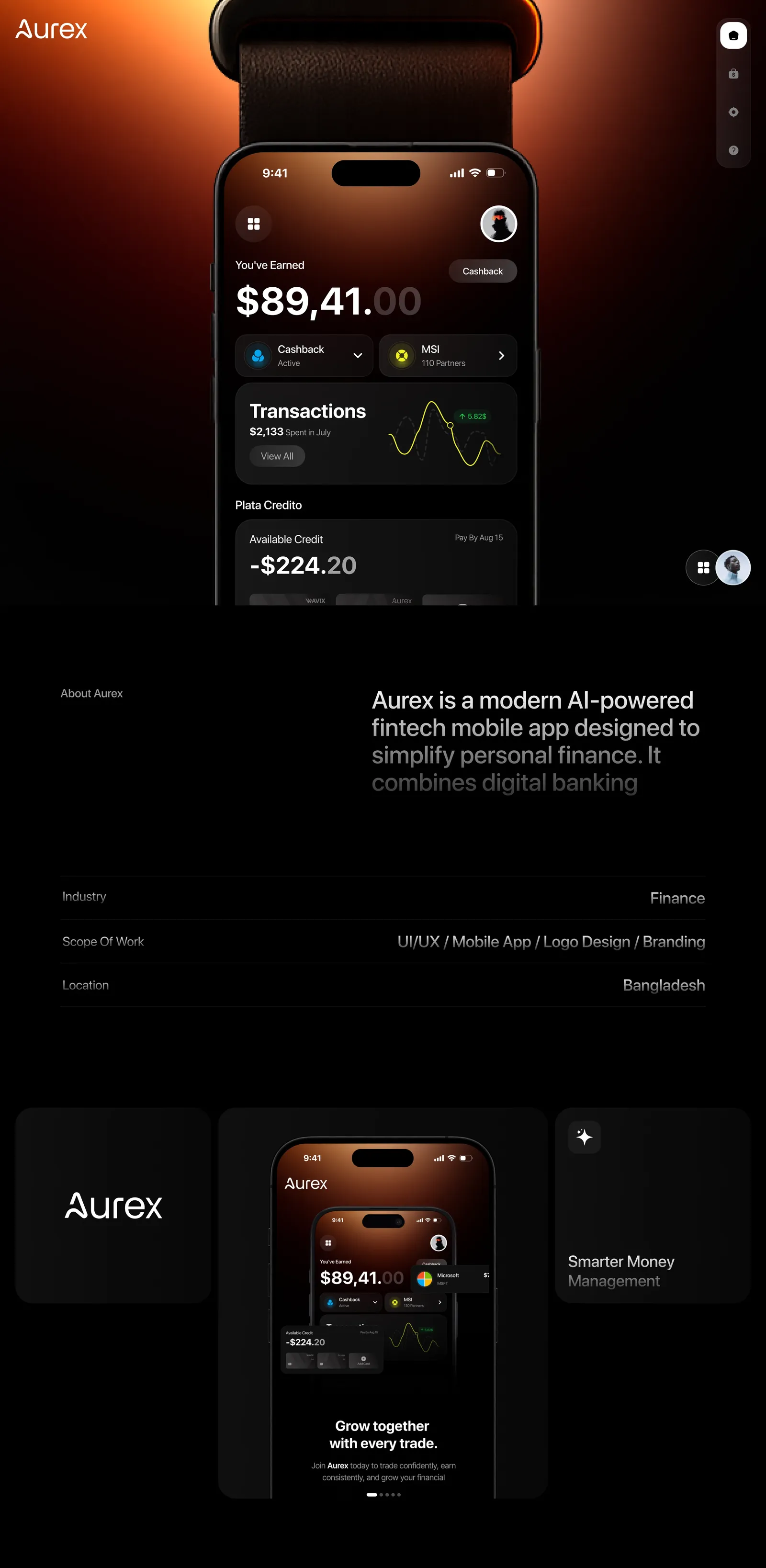 Aurex — fintech app intro and brand summary