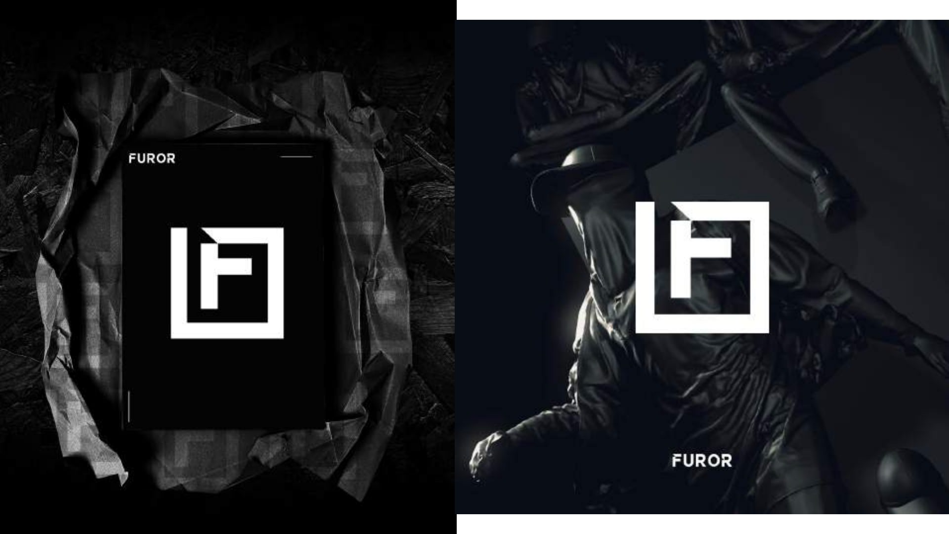 Furor — brand identity design by Digitally LevelUp