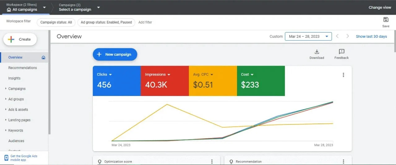 Client Google Ads — 456 clicks at $0.51 average CPC